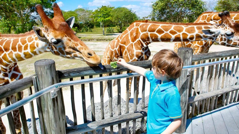Criança em Jardim Zoológico de Lisboa