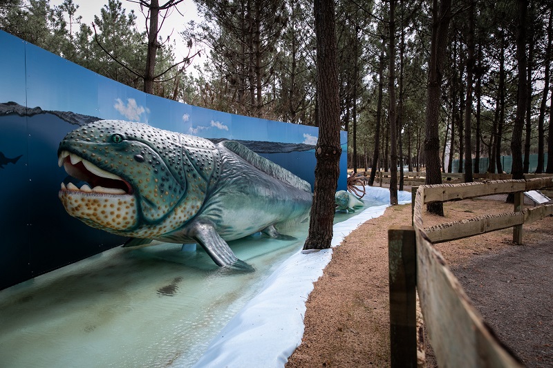 Animales marinos en el museo de dinosaurios Dino Park de Portugal