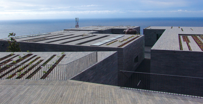 Museu de Arte Contemporânea da Madeira (Mudas)