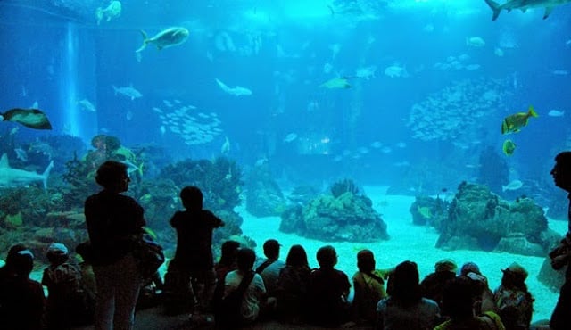 Oceanário de Lisboa